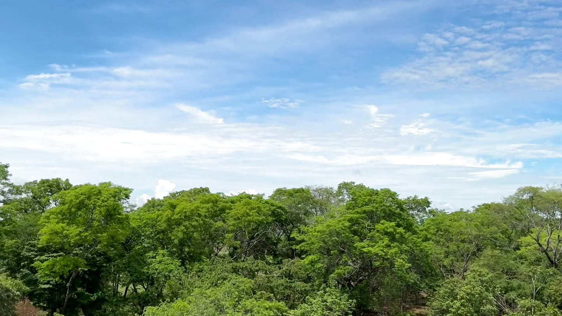 The view from my balcony is simply wonderful 🤩 - video by olivia_velvett cam model