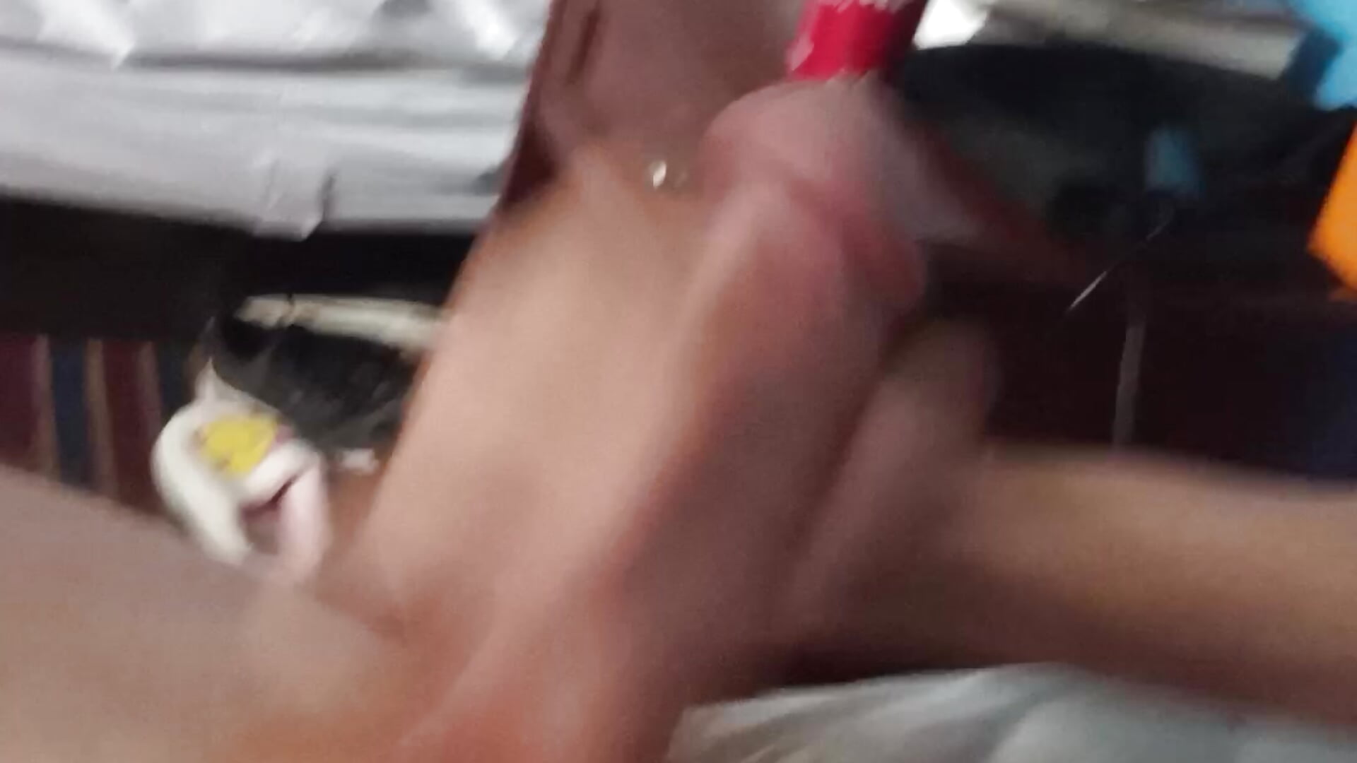 Vídeo em tendência de modelo na câmara AmethystEuphory4 8075