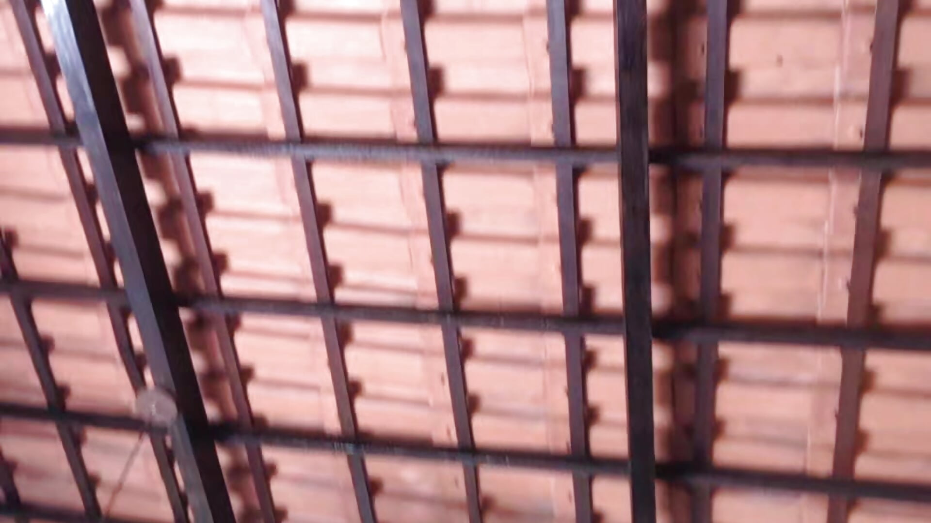 I might have mad maxed it too close to the sun - vídeo de kittyfitty29 modelo de câmara