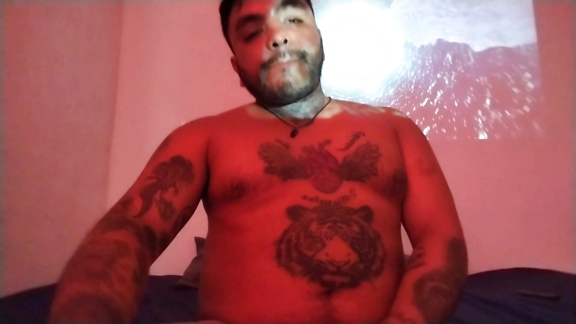 Skar19cm - 主播熱門視頻 6522