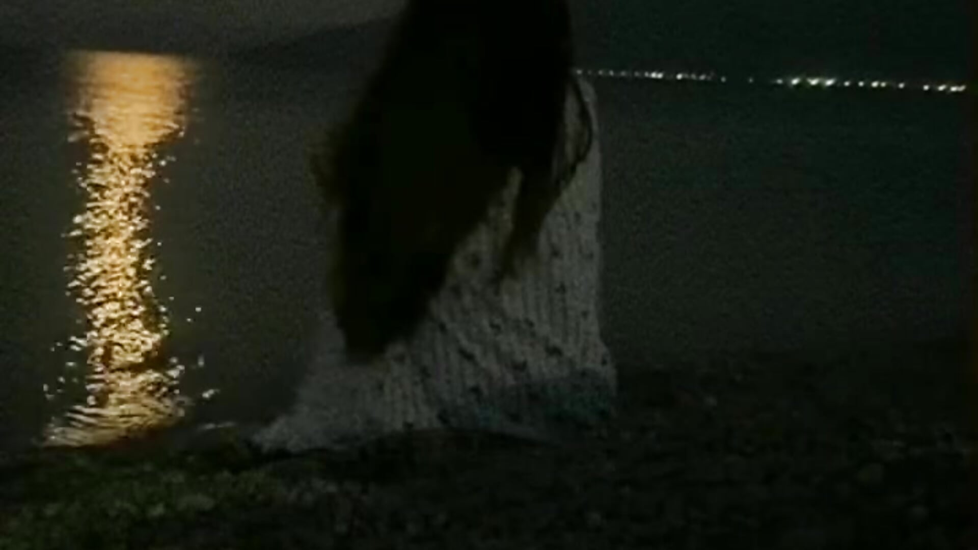 just admiring the fireflies – video od webkamerové modelky Theresa_Carter