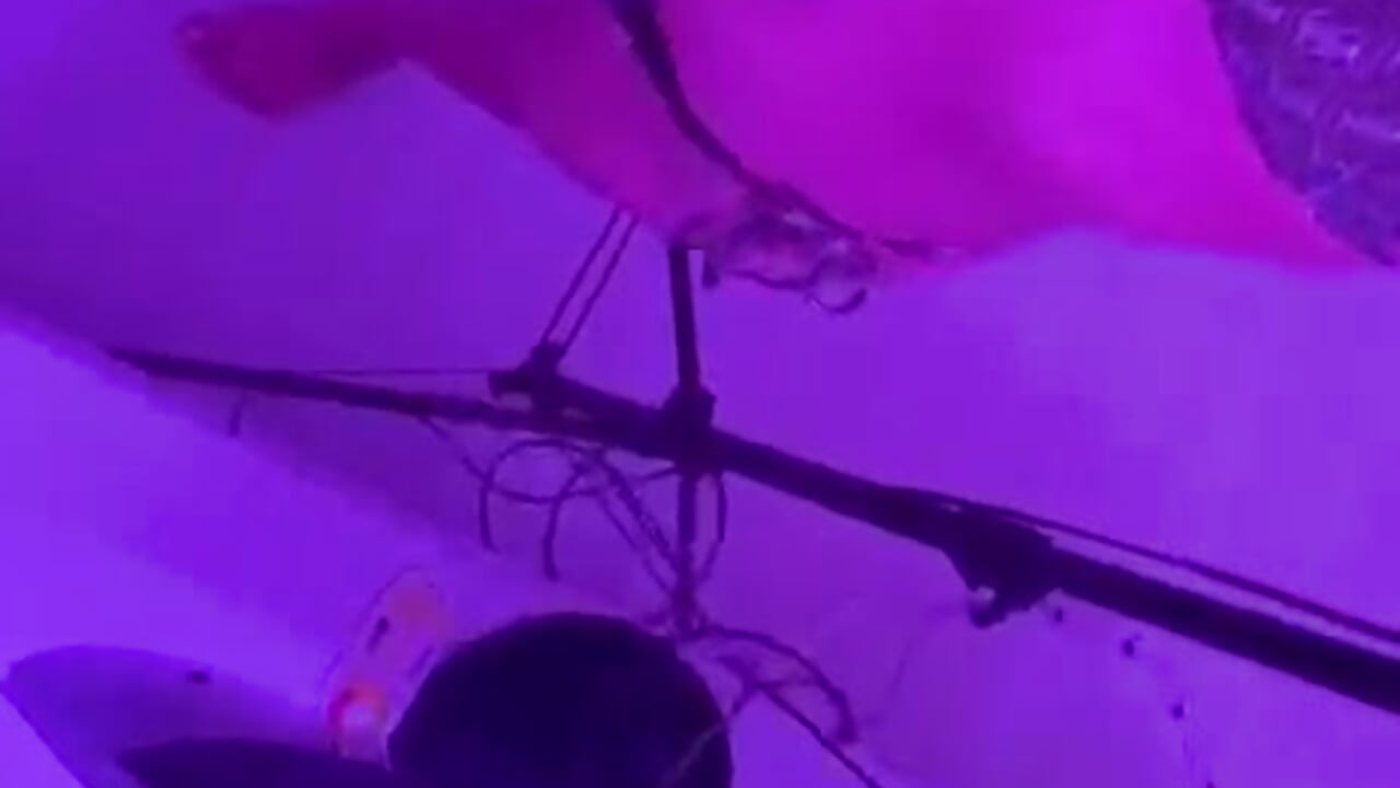 Quick Little Tease - วิดีโอโดย Crystal-Doll โมเดลแคม