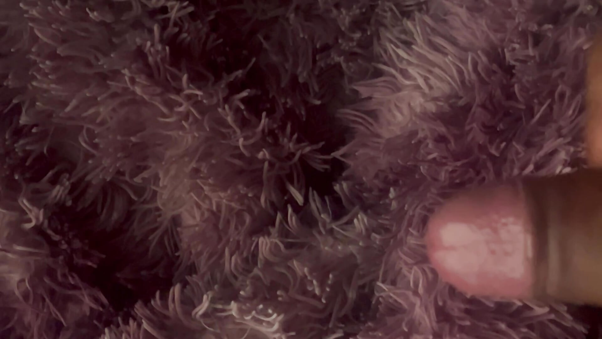 IMG_1143 - video Reacher_Mx kameramallilta