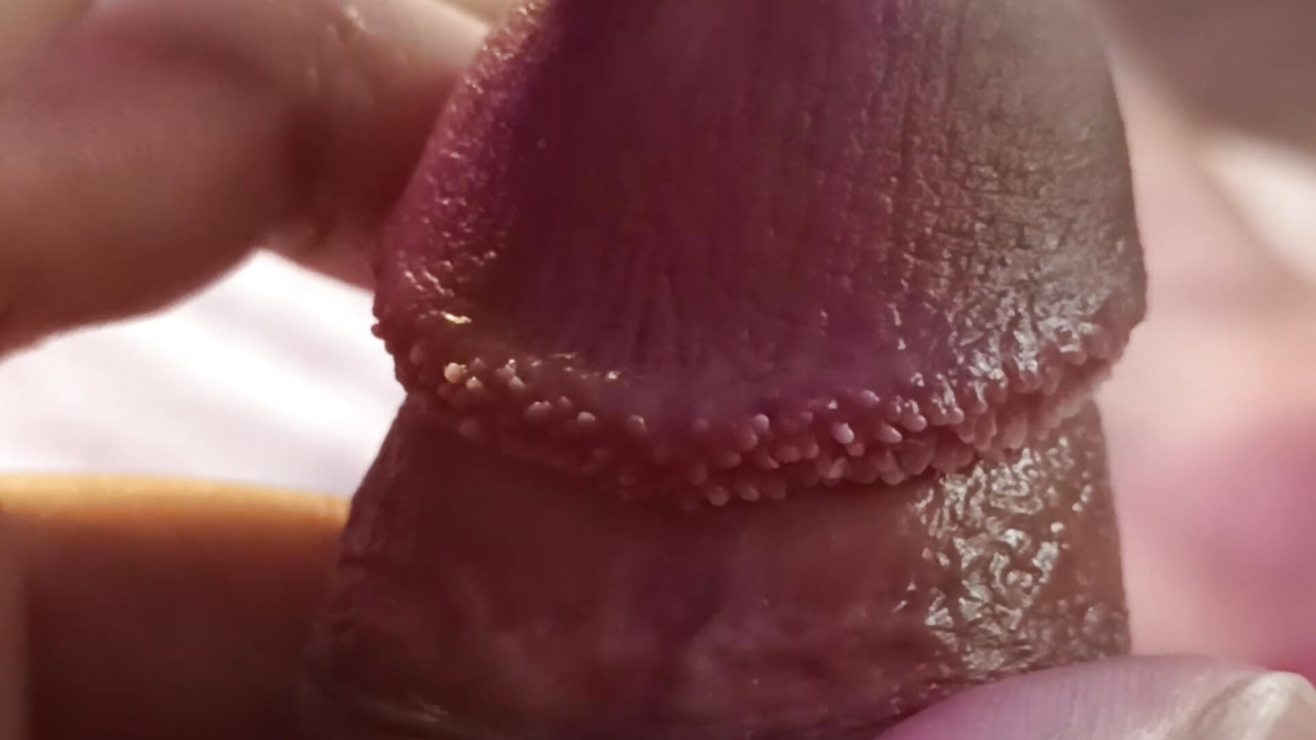 Delicious precum 💦