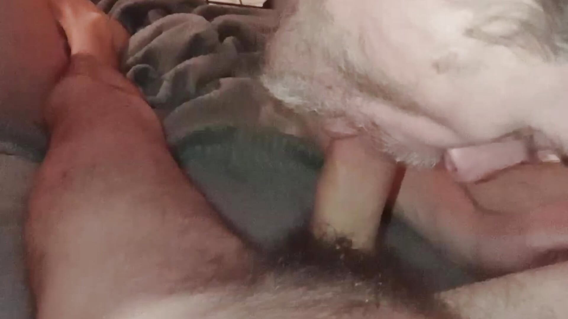 Sucking a delicious dick - je me régale  de la bite d un pote