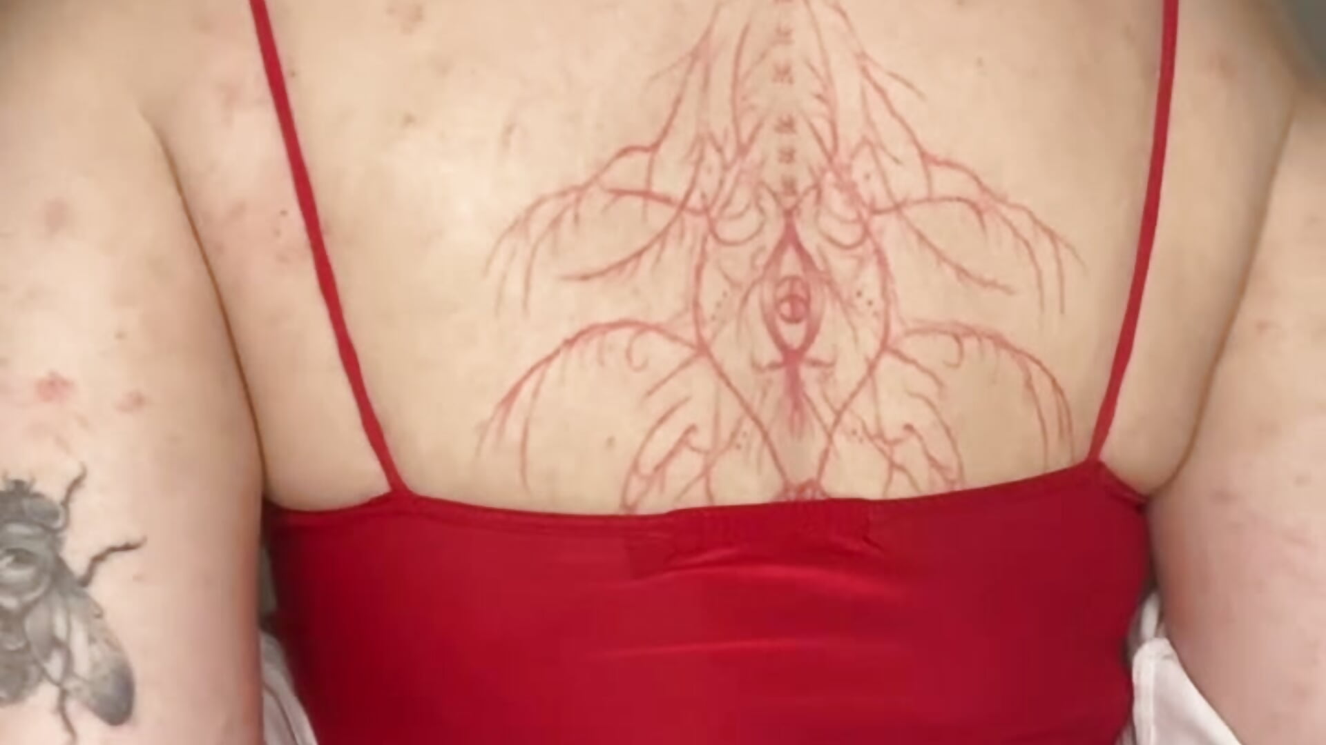 IMG_1201 - Kittycat_meooow adlı kamera modelinin videosu