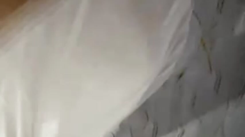 79237755199__2602970F-DE8B-4193-8311-1C0F812BA01F - Vídeo de evelyyn18, modelo de vídeos