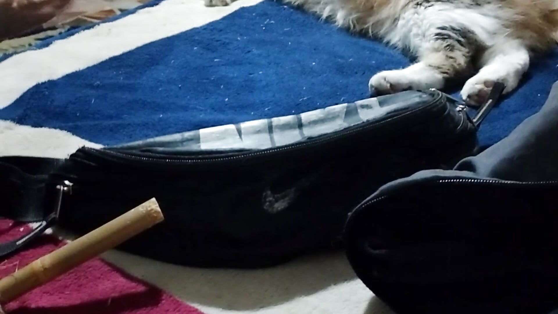 elmexicanito2 - вебкам модель избранные видео 4725