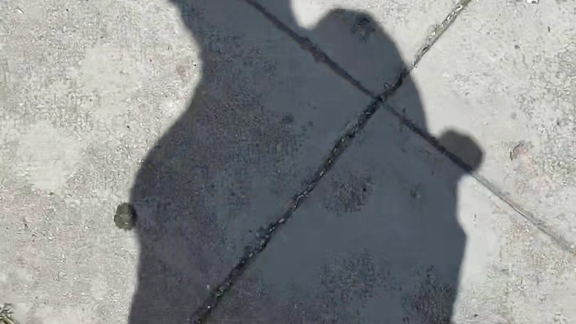Walking