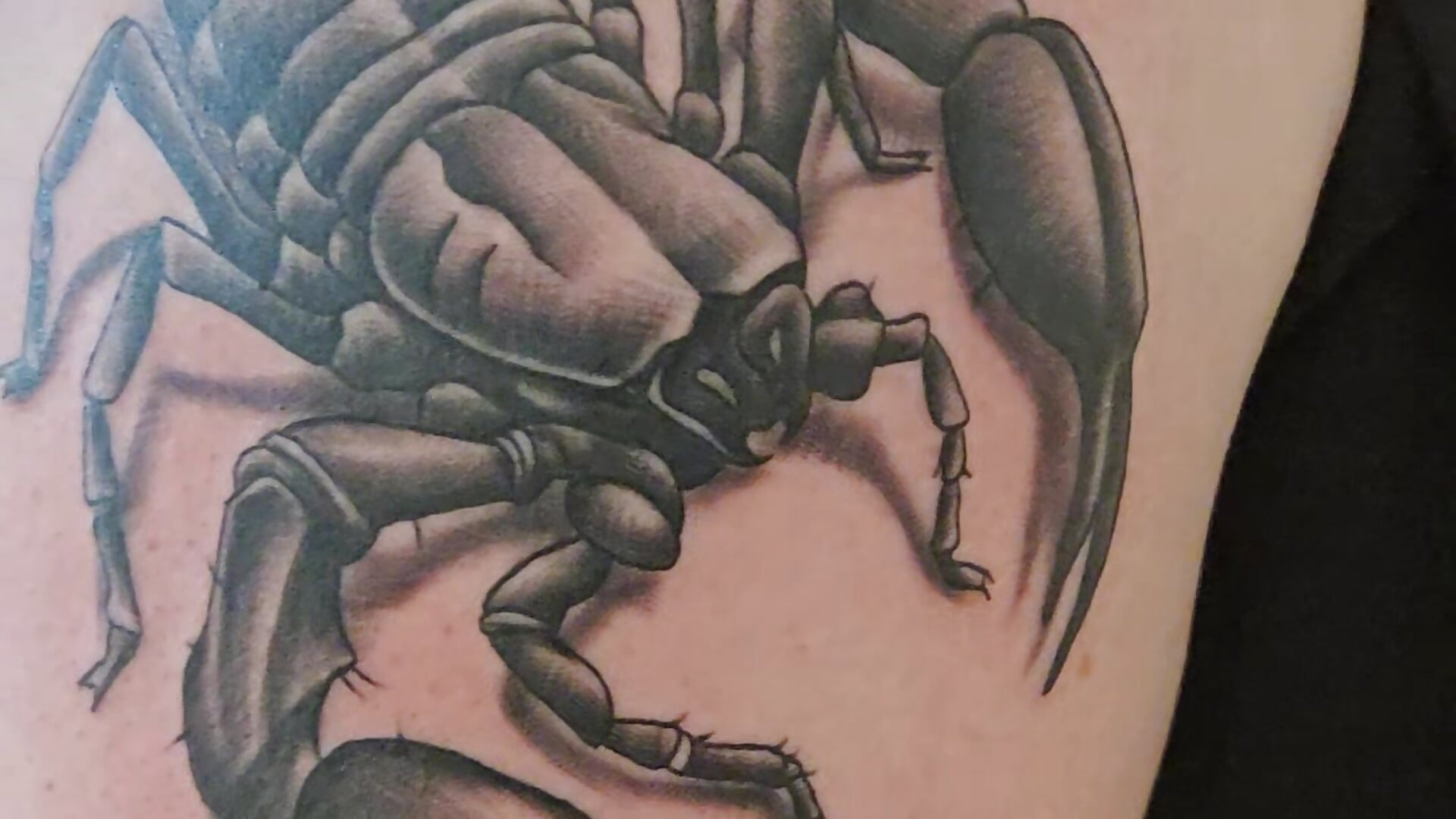 20260127_182411 — filmik der_typ_mit_dessous, modela(-lki) na kamerkach