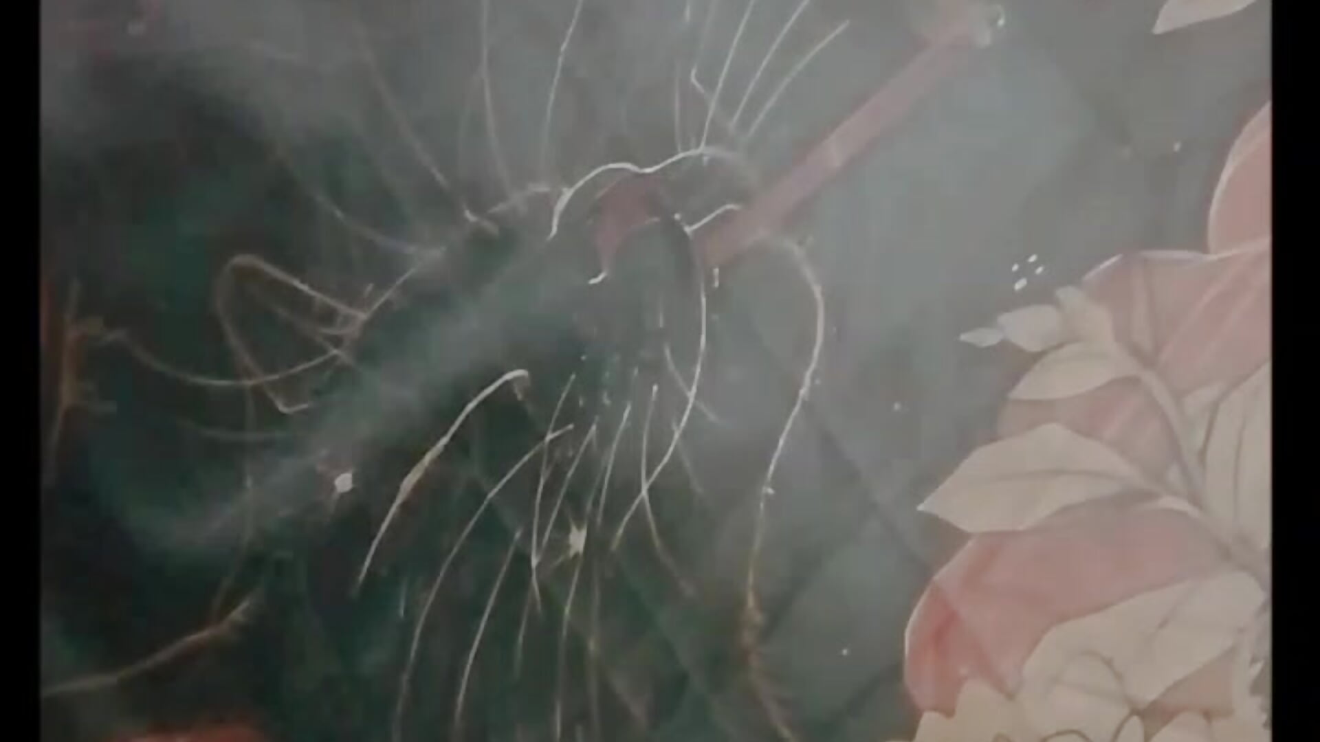 Chill time 🍃🚬 I would love to feel u next to me 💜😉 - vídeo de la modelo de cam Lucy_allen1