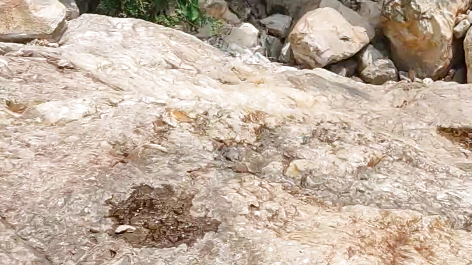 Nature - فيديو من stripboychennai موديل الكام