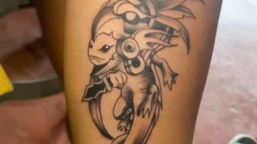 3085 - video 22cm-maan kameramallilta