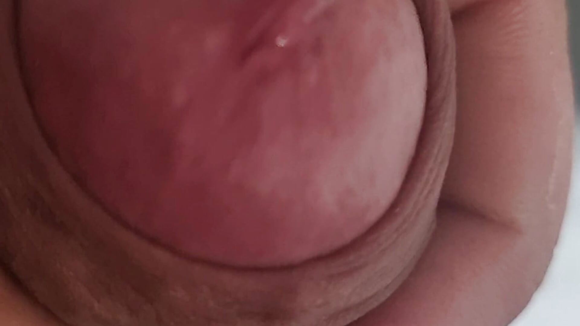 Apresentação – video af belotatuagens cam-model