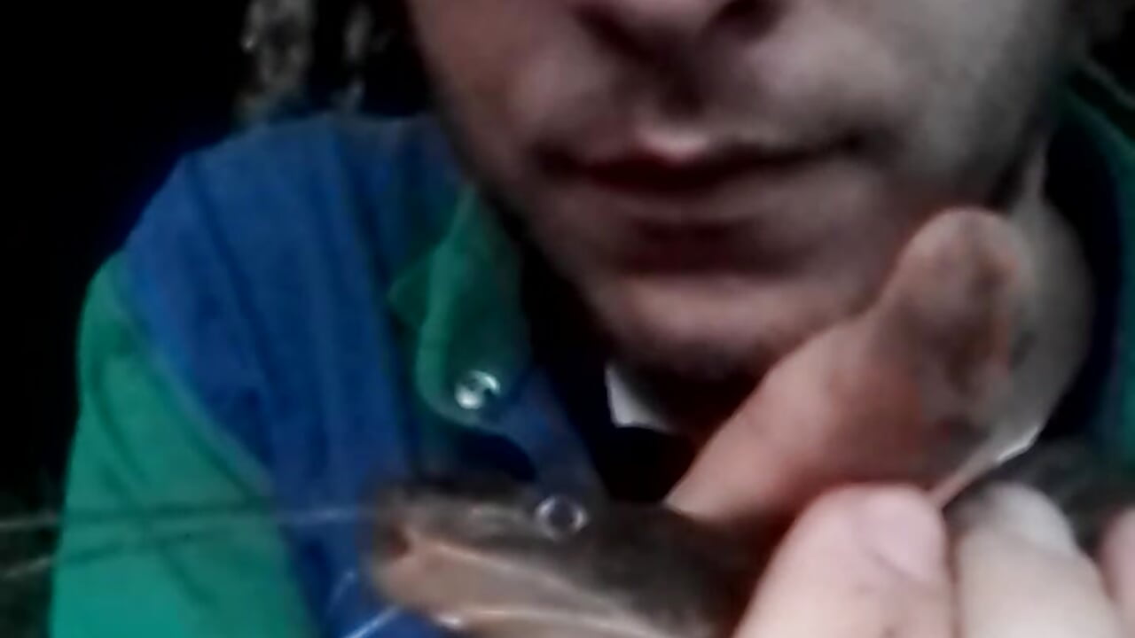 Pescador em Ação – video af vinicius_ribas cam-model