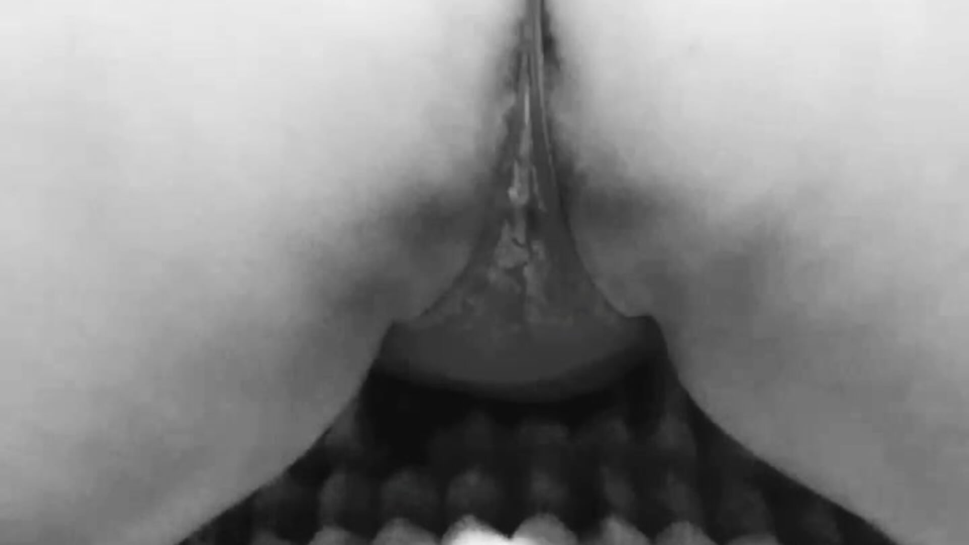 1_4927198967441131590 - відео від вебкаммоделі tubellaflor