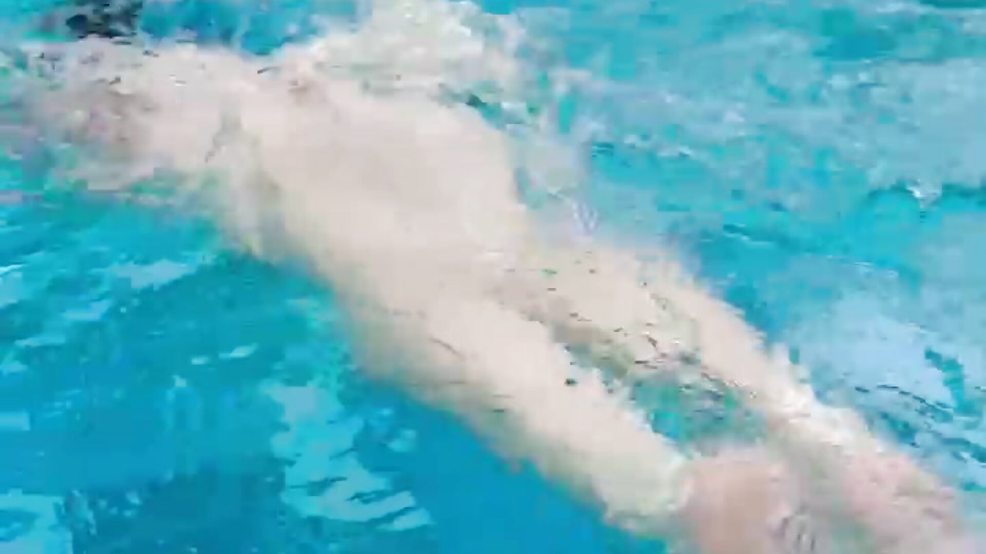 ❤️ - video oleh Freckless_ kamera model