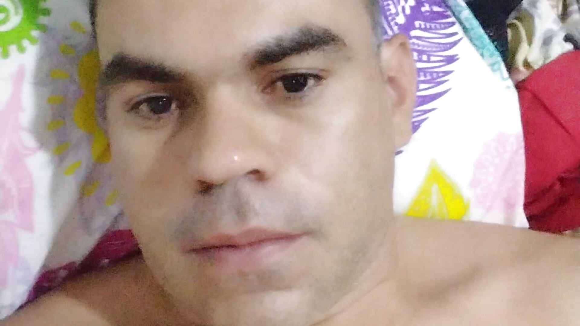 VID_20260213_034057 - video van manifiesto cam-model