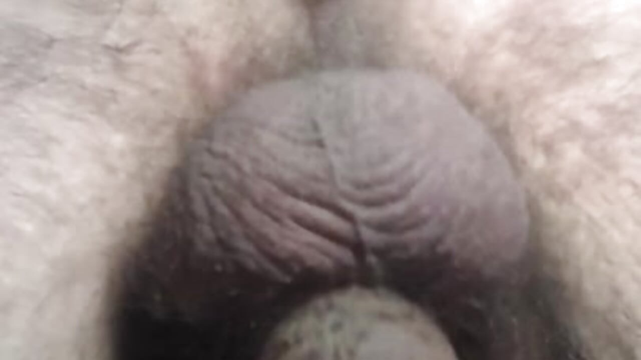 Follando mi culito prieto con dildo enorme automático en primer plano  corto – video af Xauencaliente