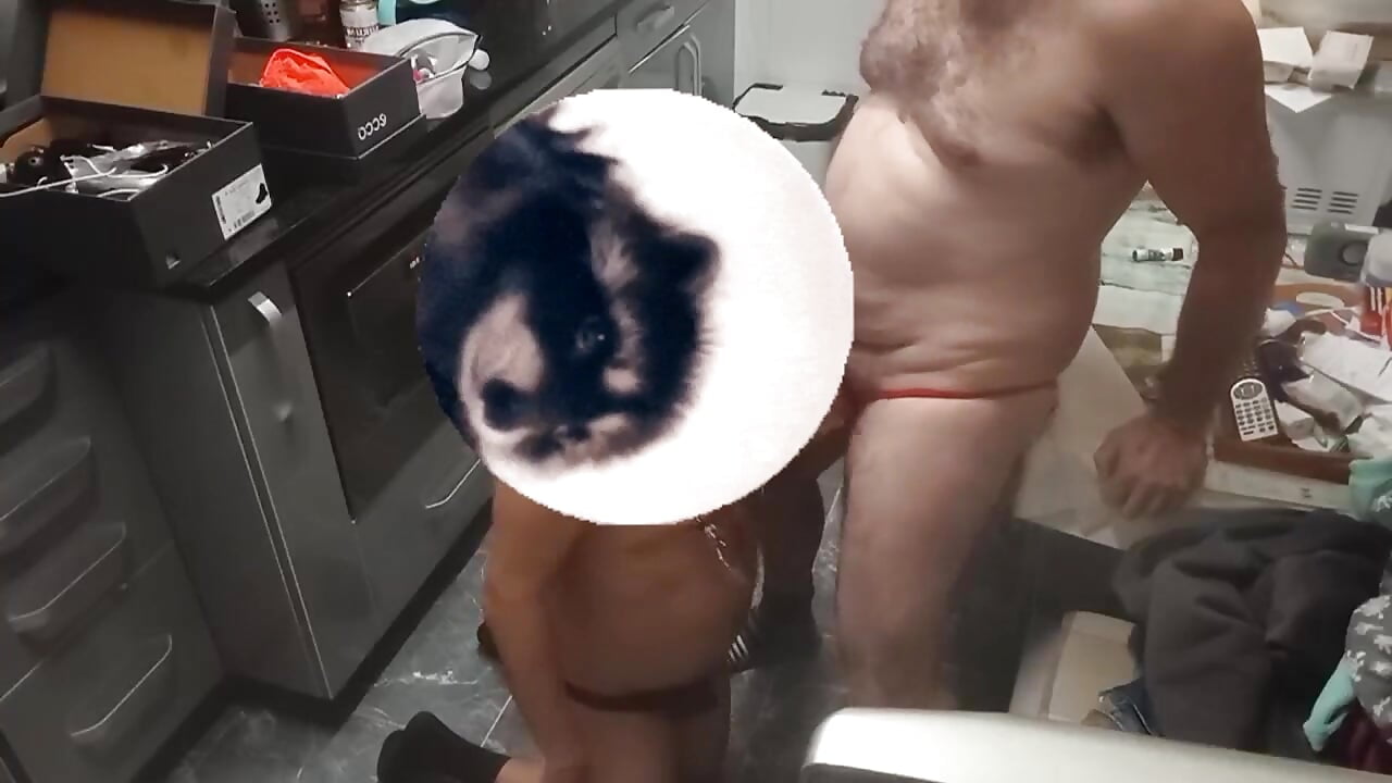 stick follamigo mamando mi polla grande y gorda y durísima - فيديو من Xauencaliente موديل الكام