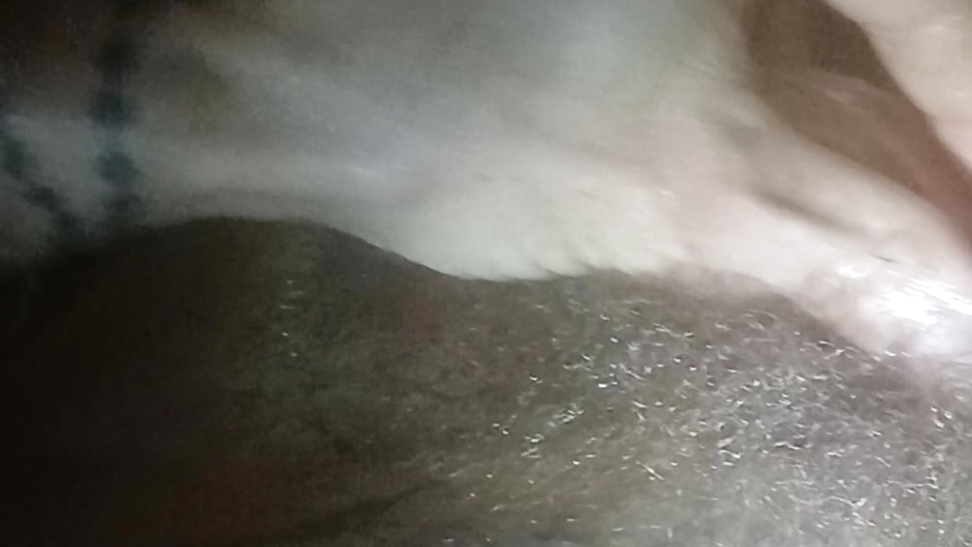 I'm be so horny - βίντεο μοντέλου Whiskey615