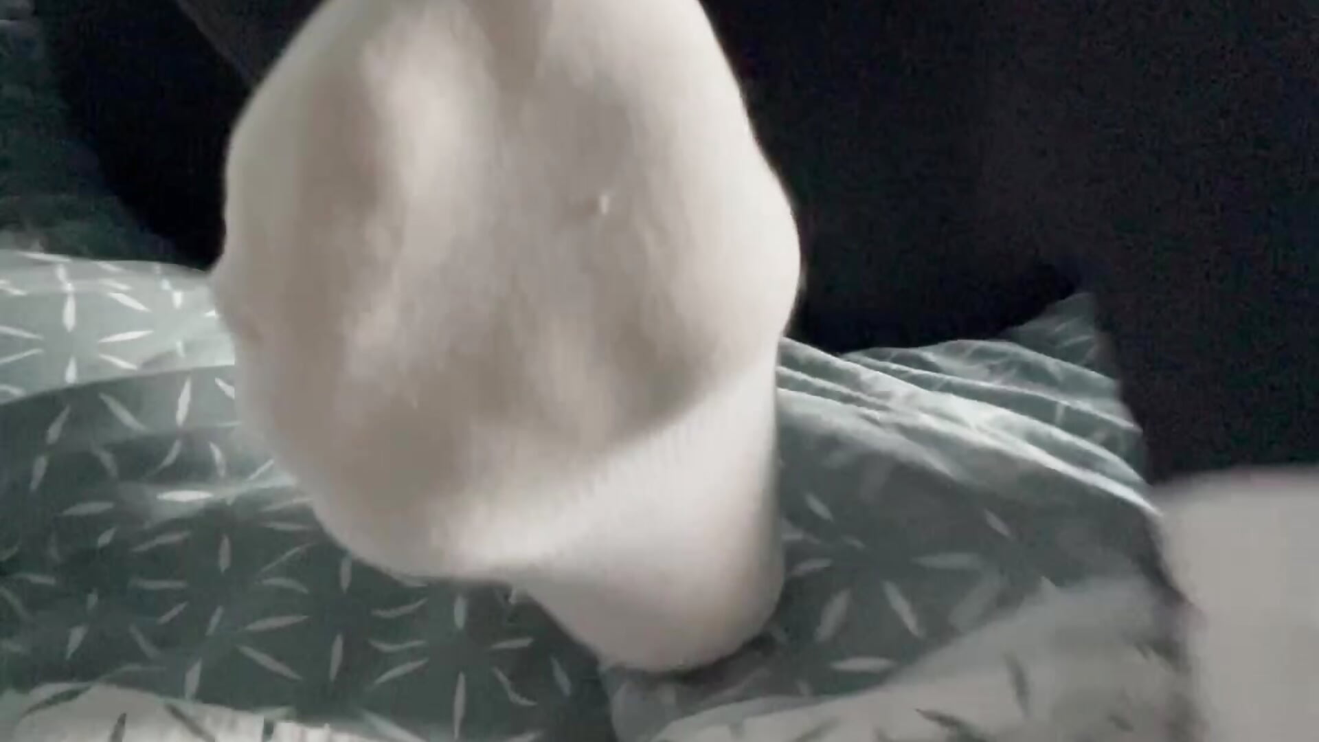 after training sweaty socks part 2 – video modela na kameri DanaSupremeGoddess