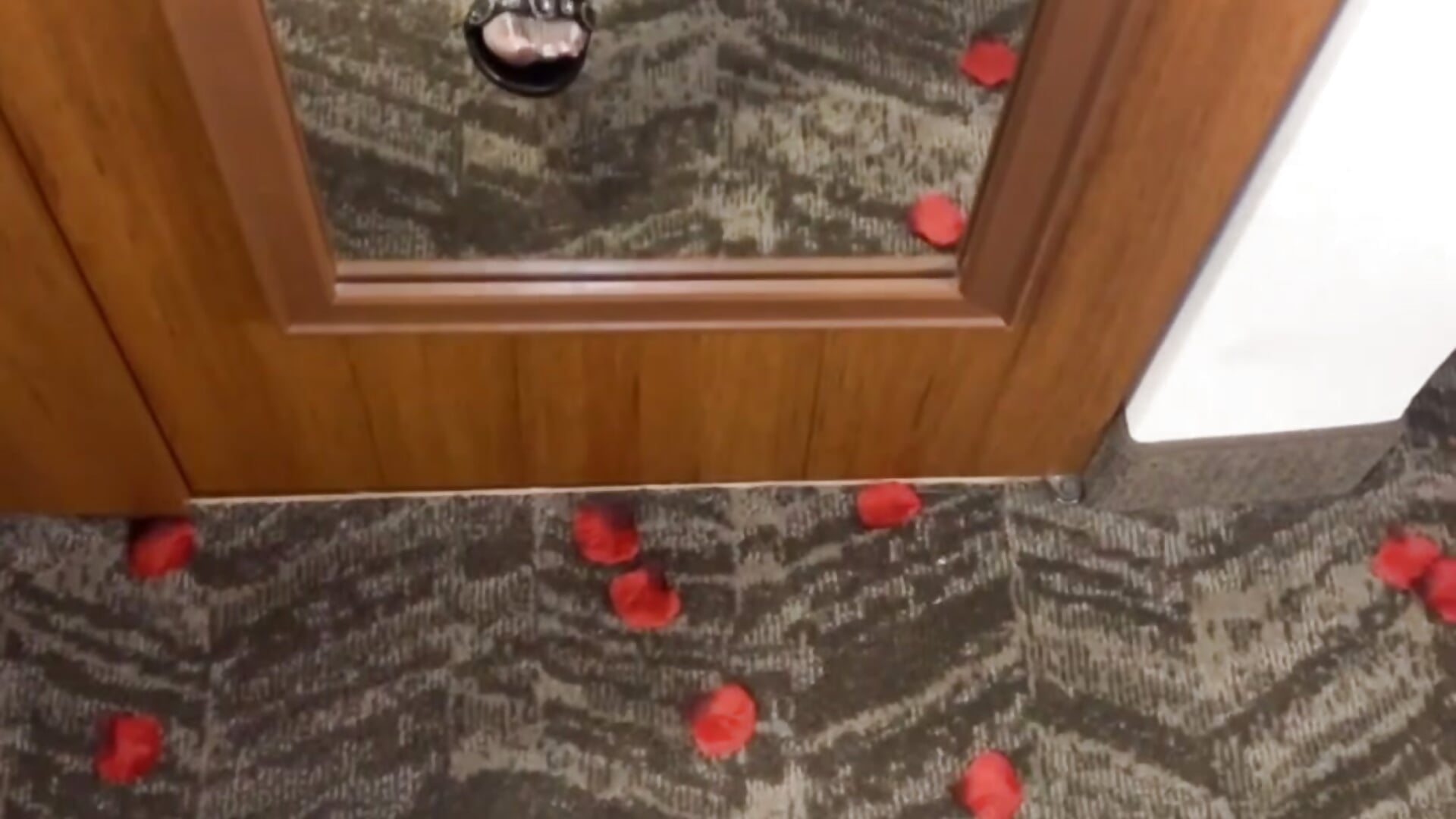 638ED1DC-88AE-4D96-A0A4-8E6A71D5CAEE - βίντεο μοντέλου thechosencurated