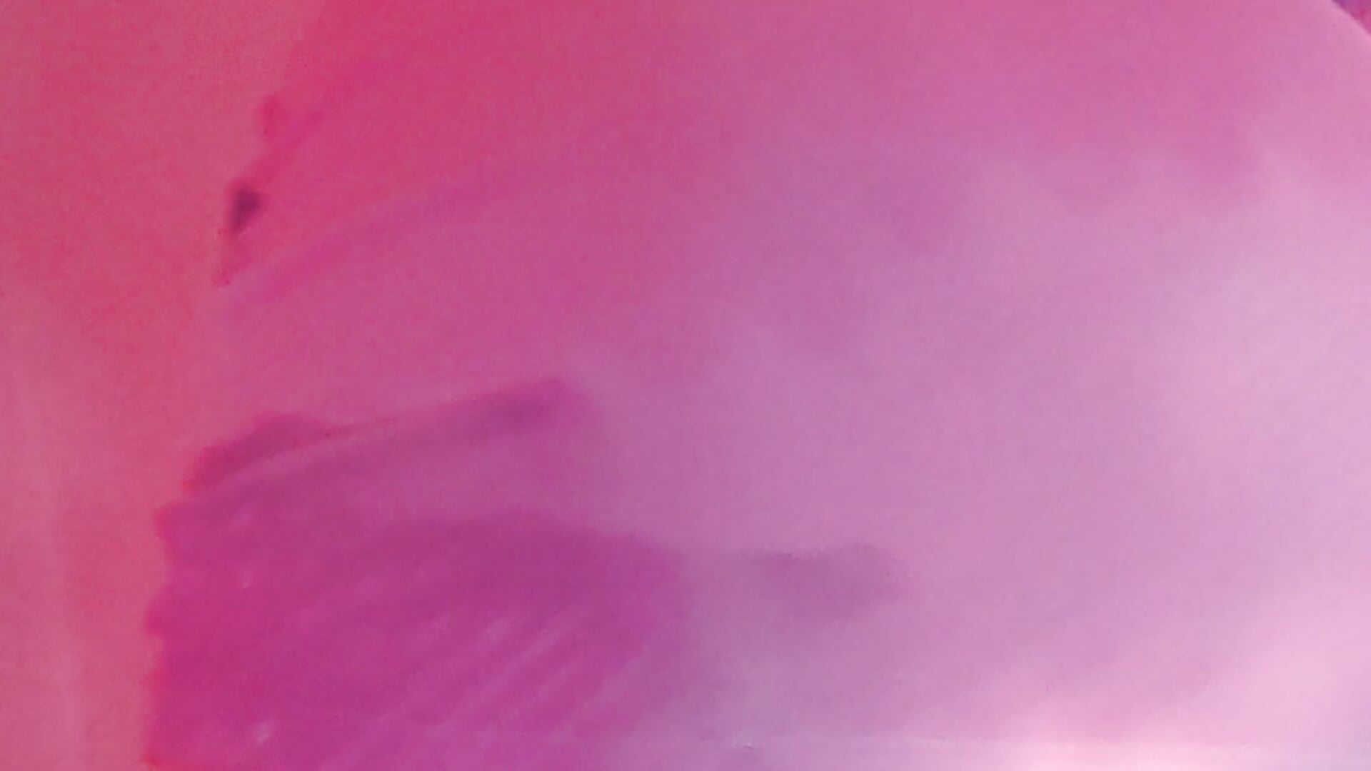 Saluda atentamente Meli - Vídeo de Meliina_xxx, modelo de vídeos