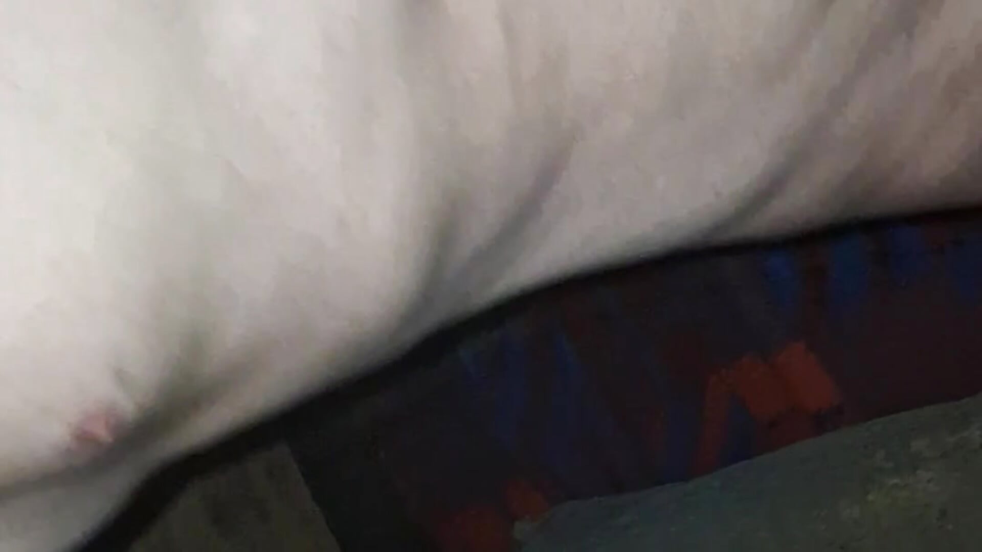 Me - video van some1else-69 cam-model