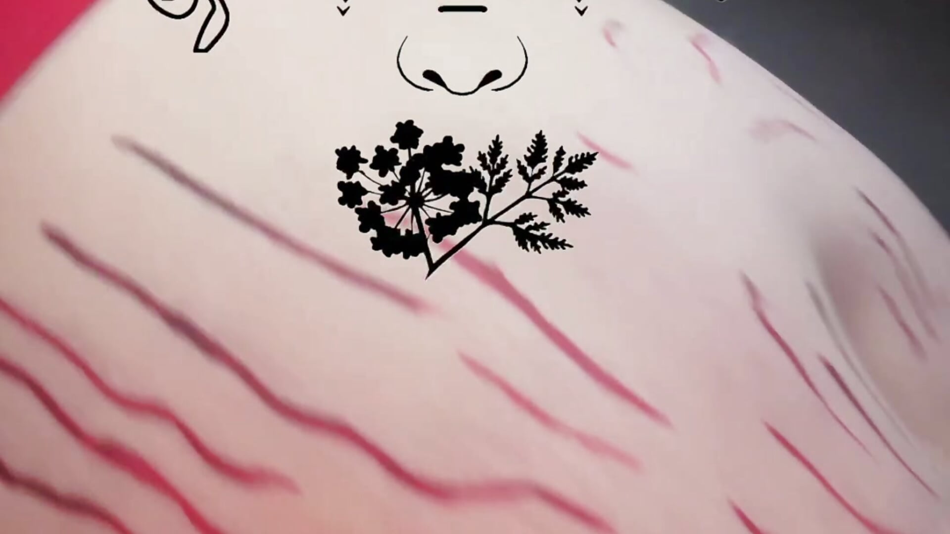 Red painted stretch marks – video modela na kameri Sinstresshemlock