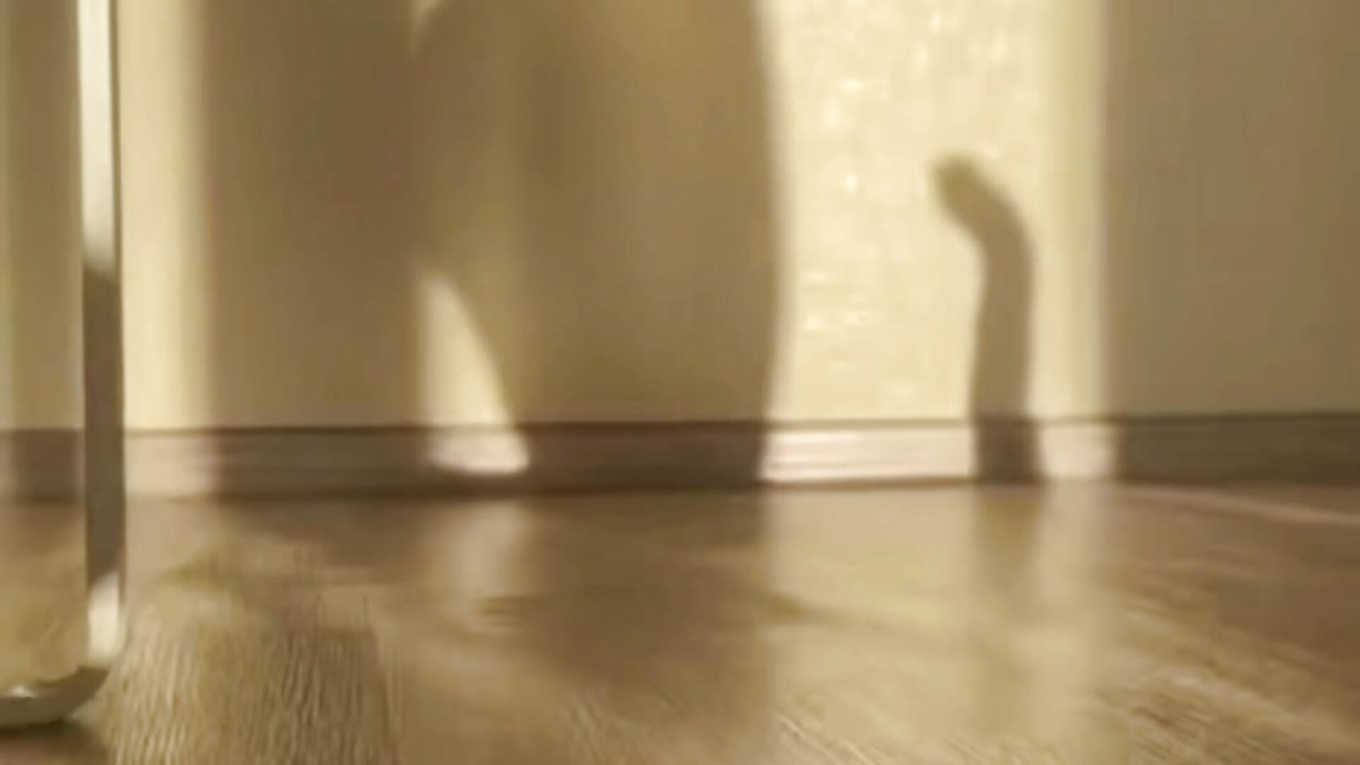 🌞sunny day🌞 – видео вебкам-модели megann_fox2