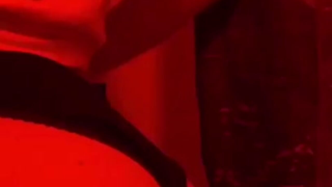 IMG_1746 - video van surikat_ik cam-model