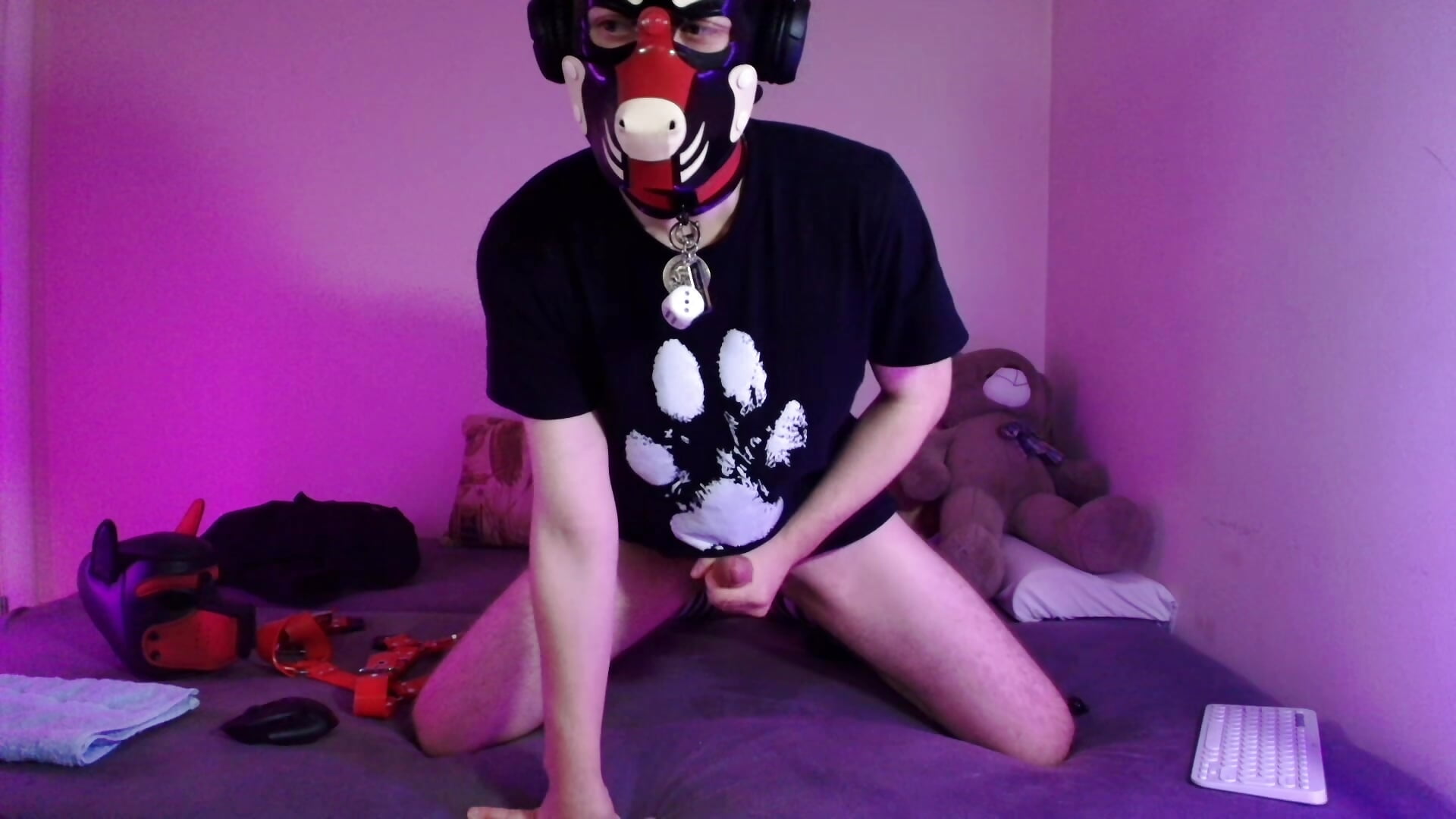 Playful pup cant stop playing with his bone