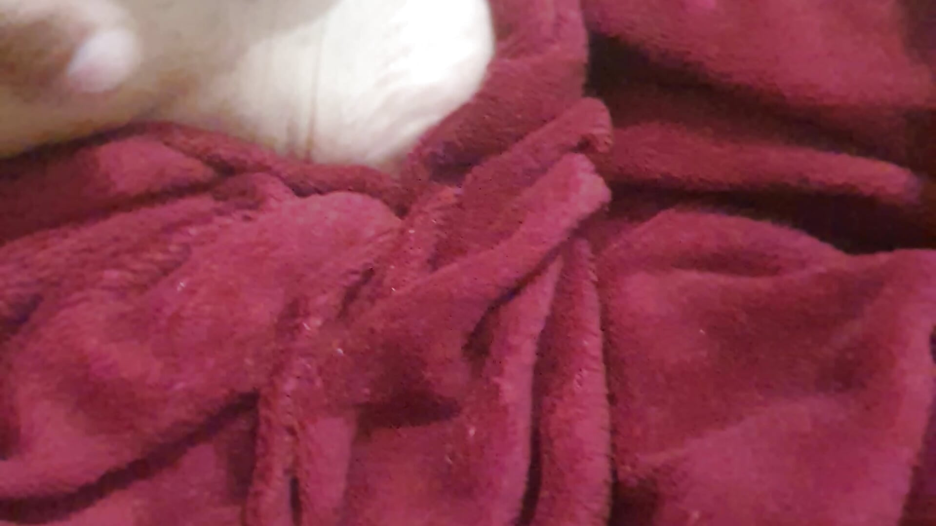 Me – видео вебкам-модели dominicpink