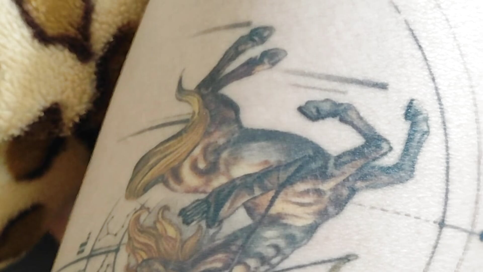 VID_20260217_044753 - video của người mẫu cam rdan13