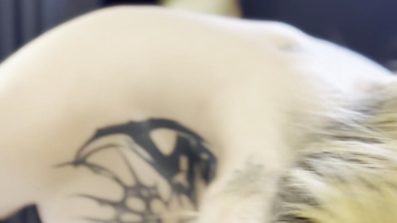 your dream 🍑🤍 - video van chelsea_dalea cam-model