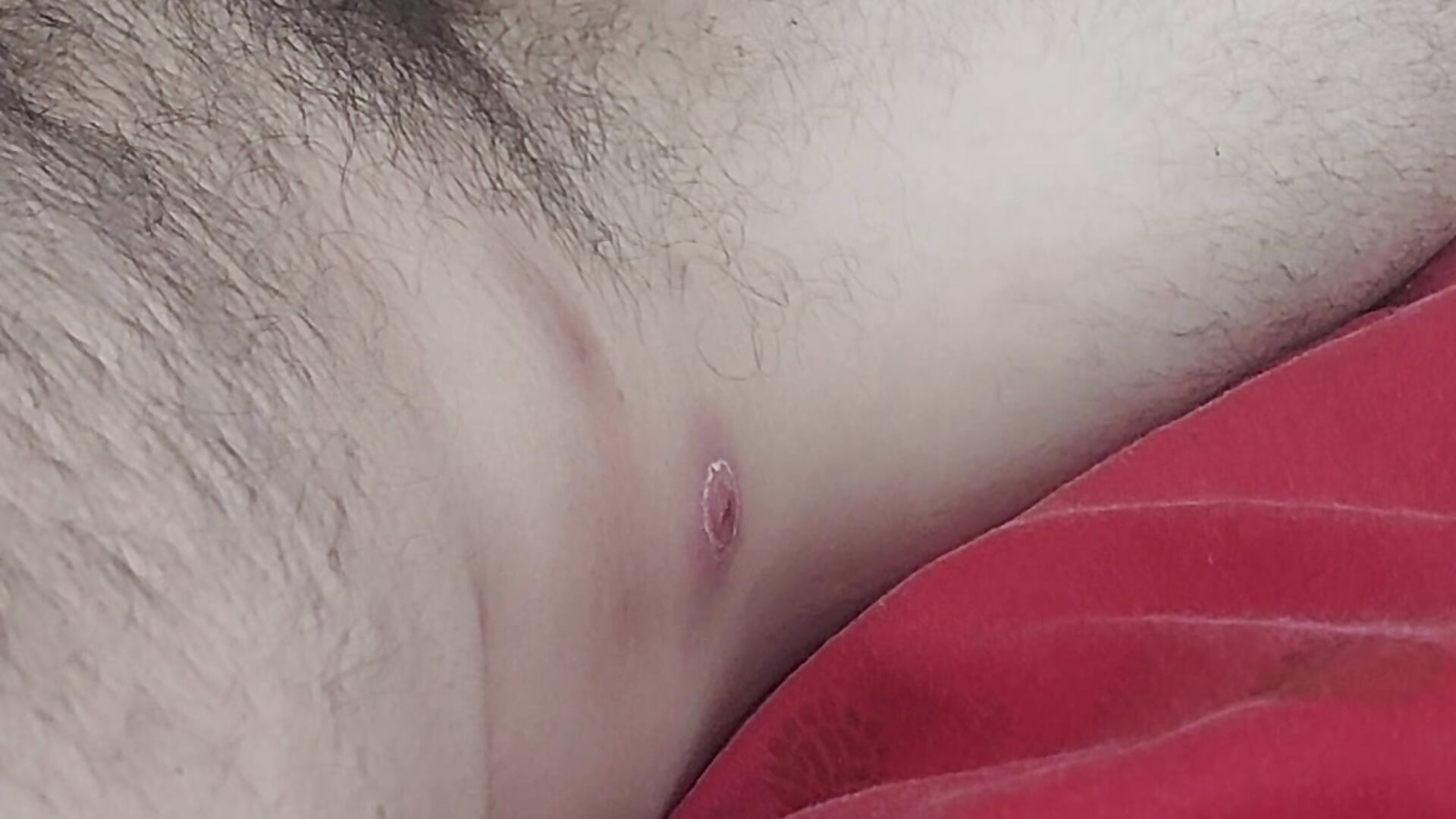 Playin' with my soft cock - βίντεο μοντέλου apollo1212