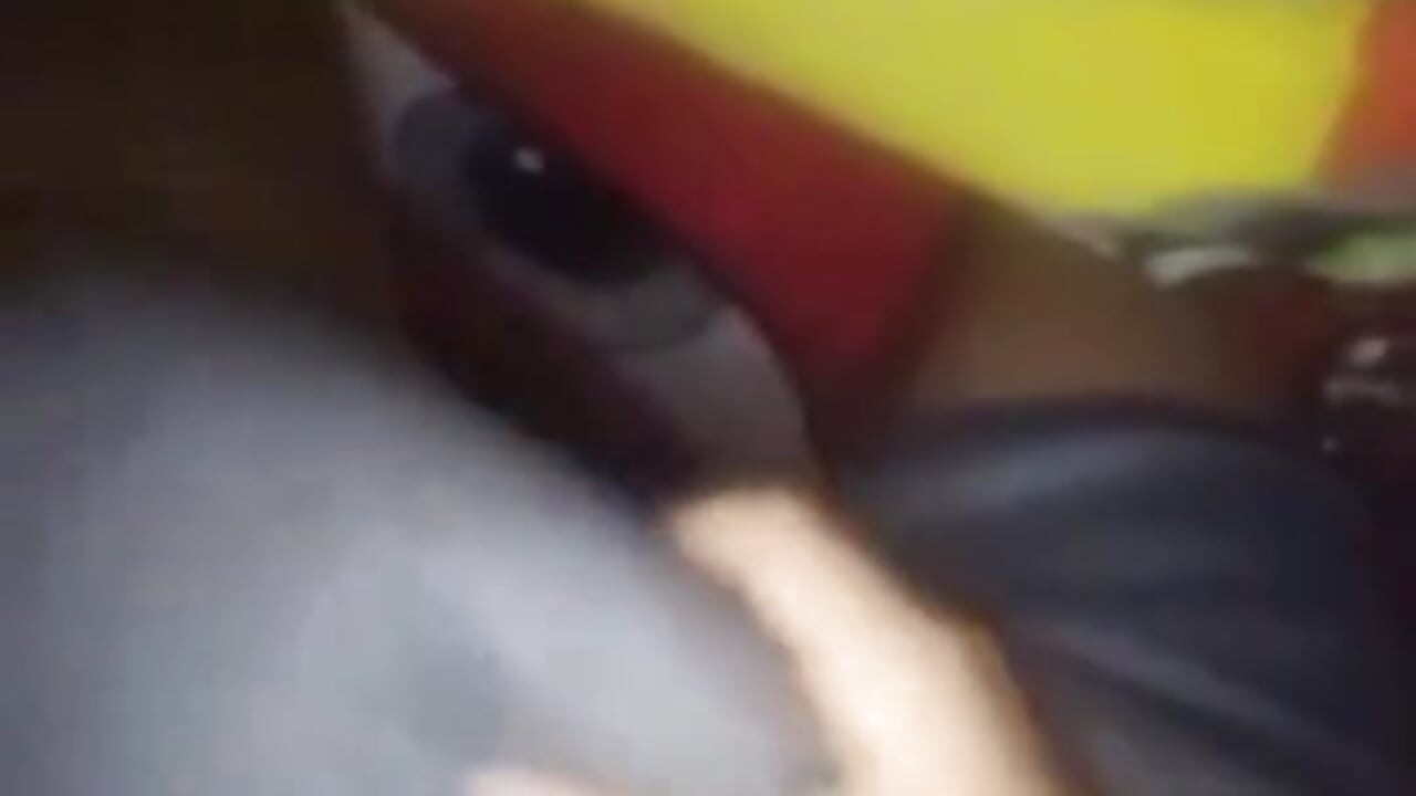 VID-20260217-WA0002 - osito19cm主播的视频