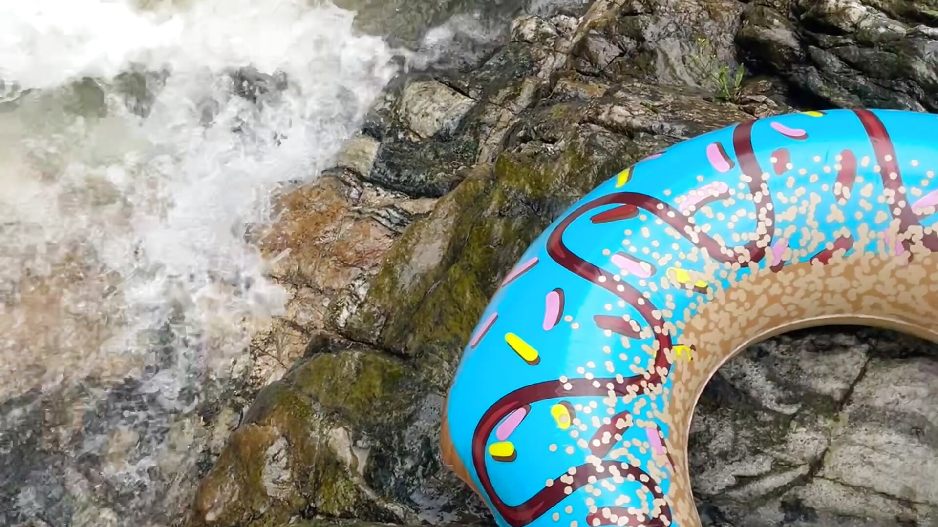 🍃 - video Sofia-squir kameramallilta