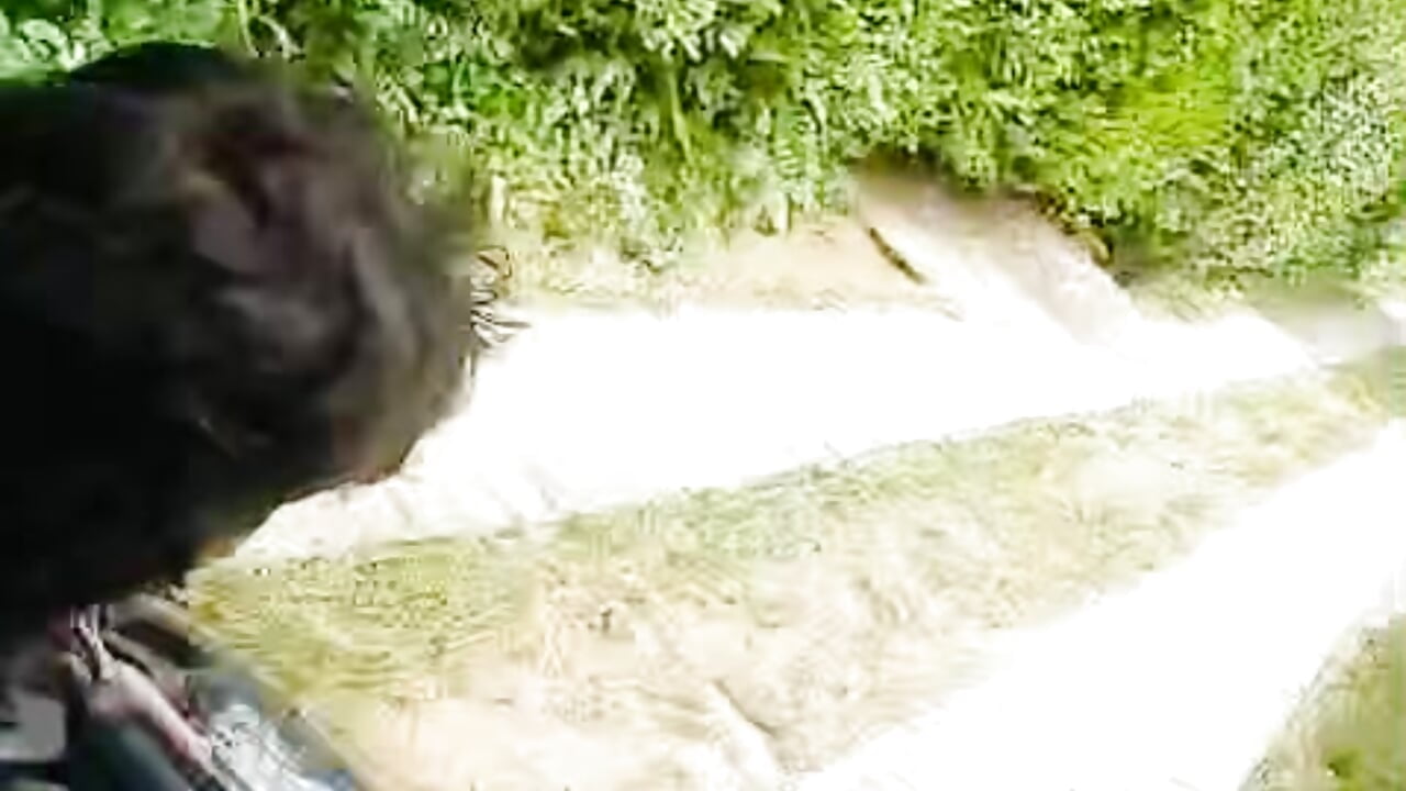 💚 – видео вебкам-модели Jacob-and-zoe