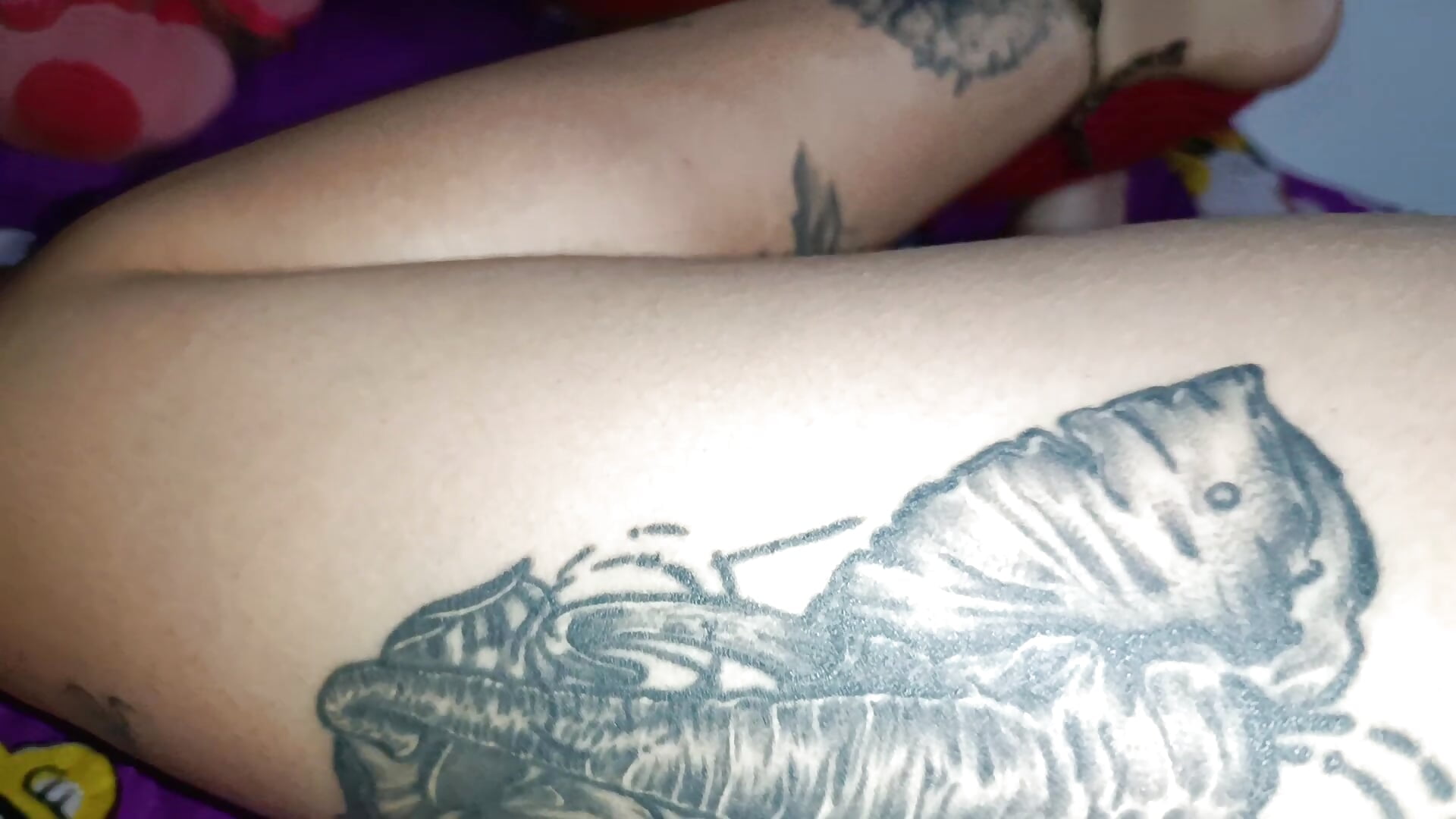 Tattos – video od webkamerové modelky girl_University