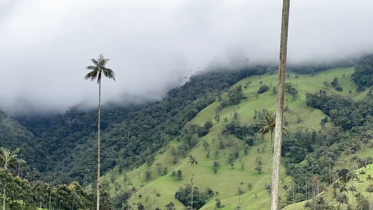 Peace and calm – video modela na kameri SusiMaison