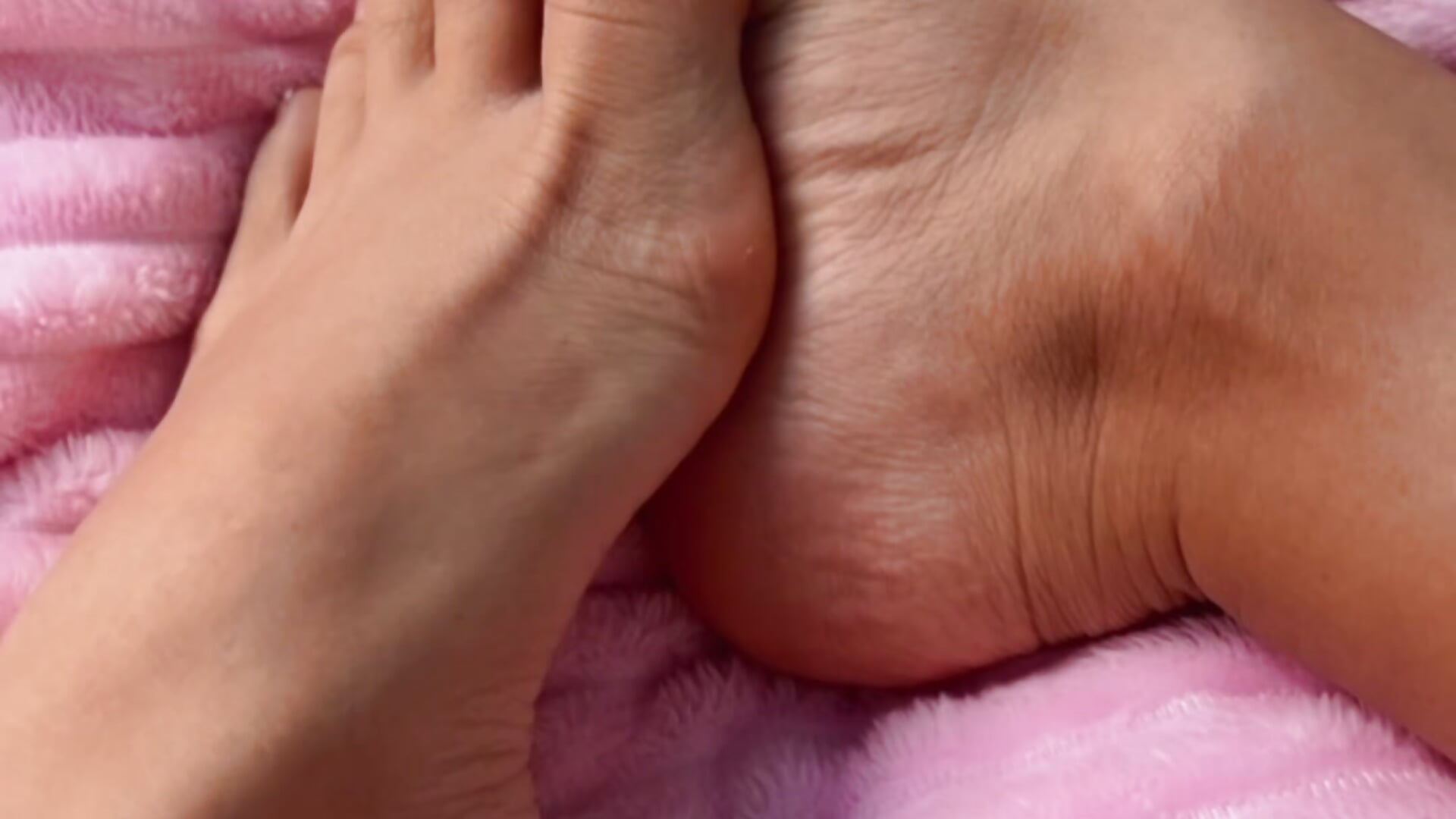 Do you want to suck my feet?🔥 - ক্যাম মডেল AmberBronw-এর ভিডিও