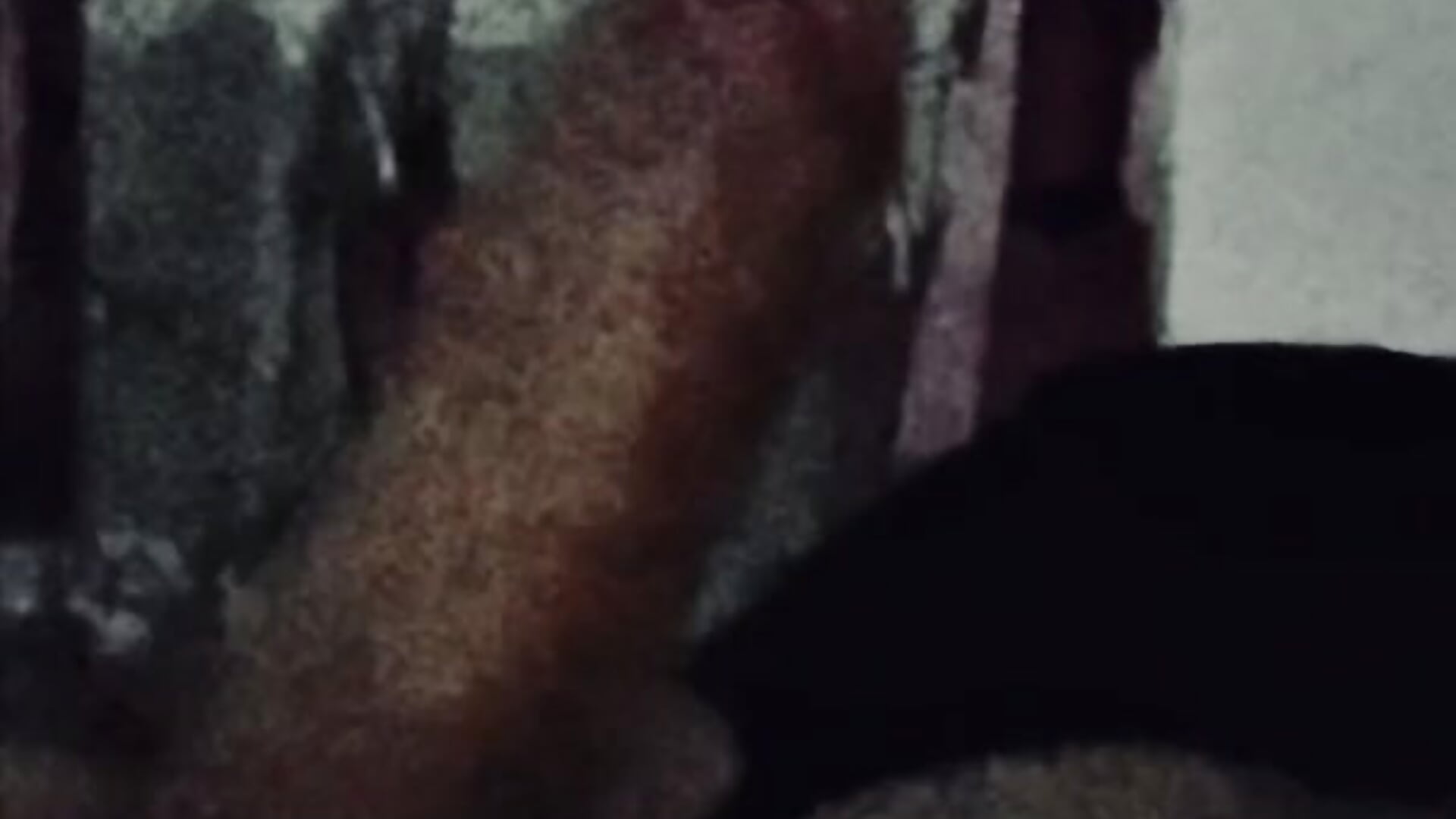 07D440B8-CDFB-46A6-A6FB-0AE81A87D72A - video by Alejandroml2 cam model