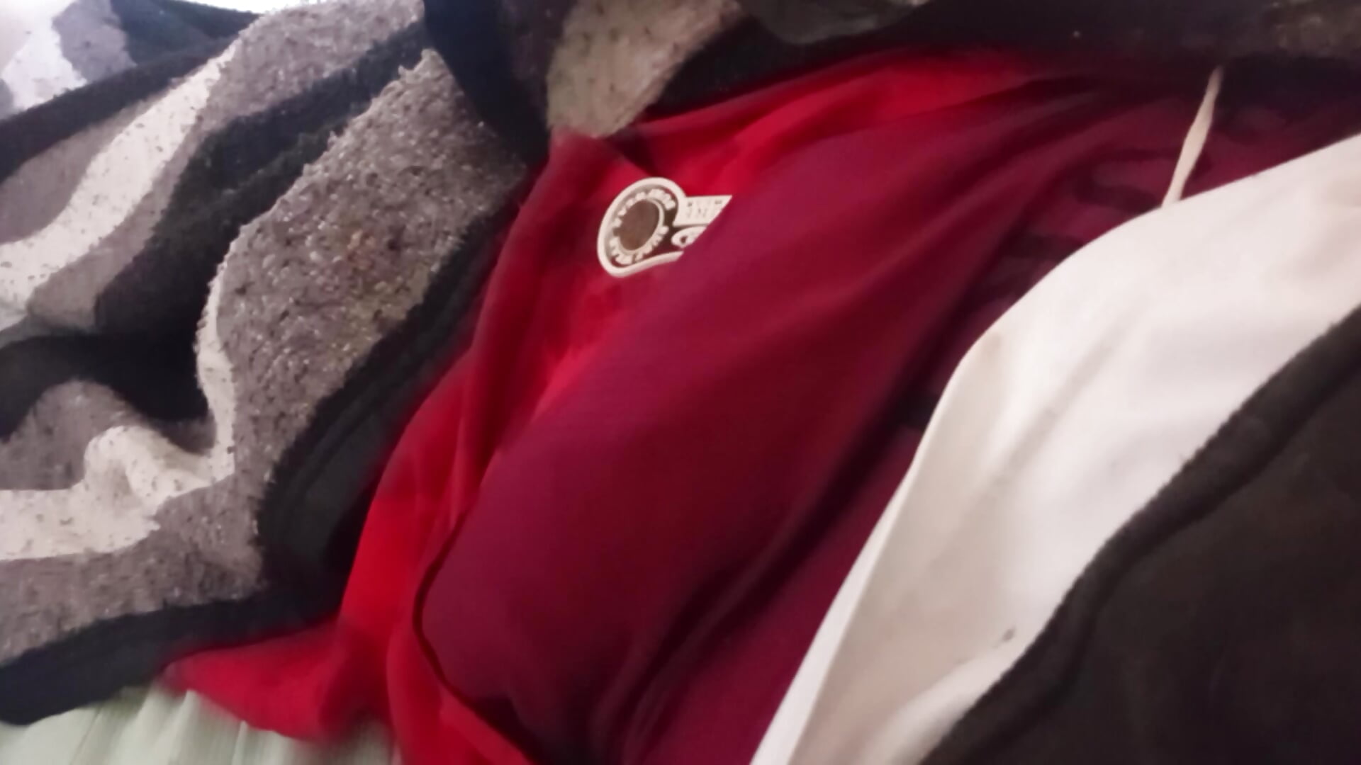 1000062856.mp4 – видео вебкам-модели Stark01001