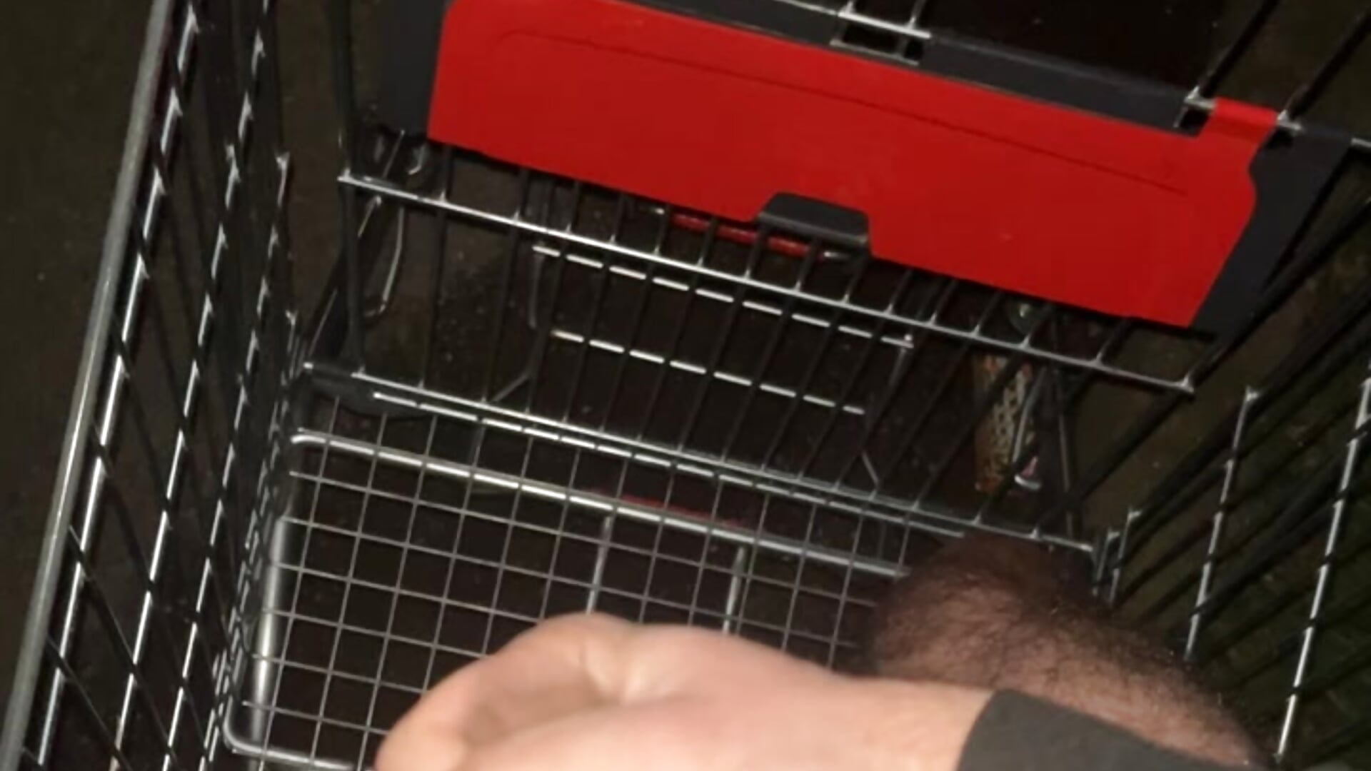 Branlette en extérieur sur un Caddie - video by Millixaka cam model