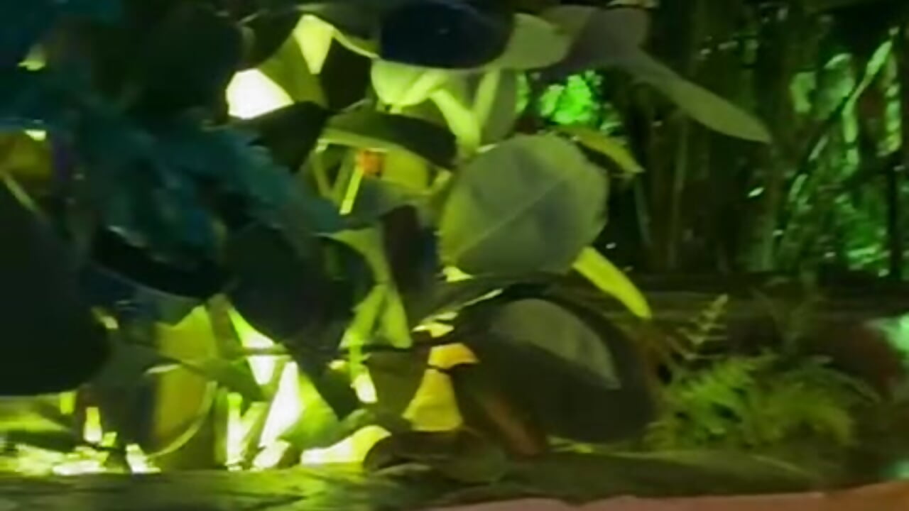 One day at a time❤️‍🔥🍀 - Vídeo de mar_coral2, modelo de vídeos