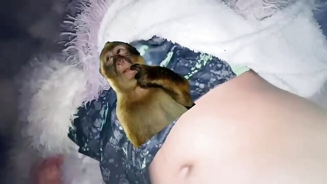 5b21fa84-2124-4416-acb8-954ff0d664b1 - video by CrissTovar89208 cam model