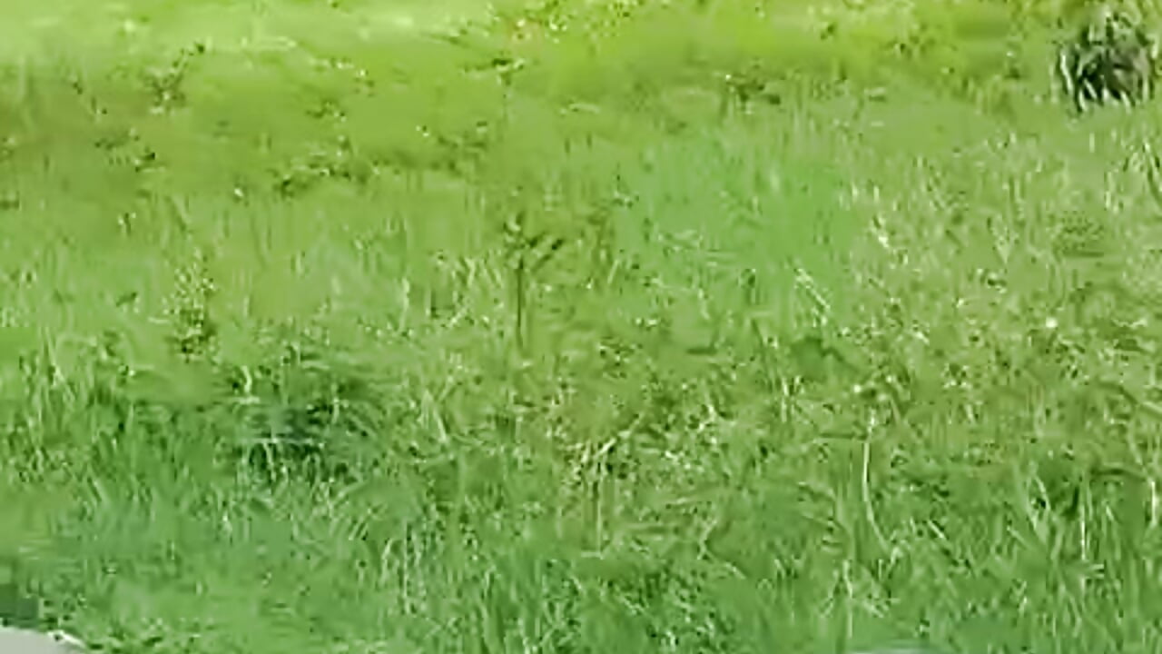 En la máquina – video modela na kameri Afrodita-87