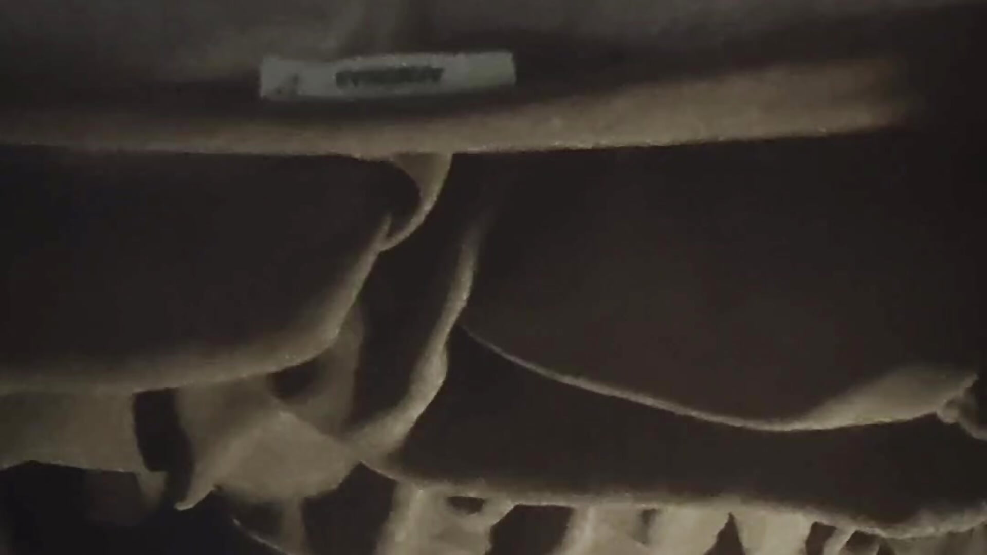 it's me ❤️❤️❤️－カメラキャストの_Freireneの動画